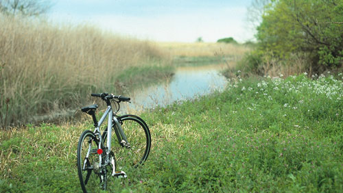 通販｜女性のためのオリジナル自転車【K32】通販サイト｜Produce by